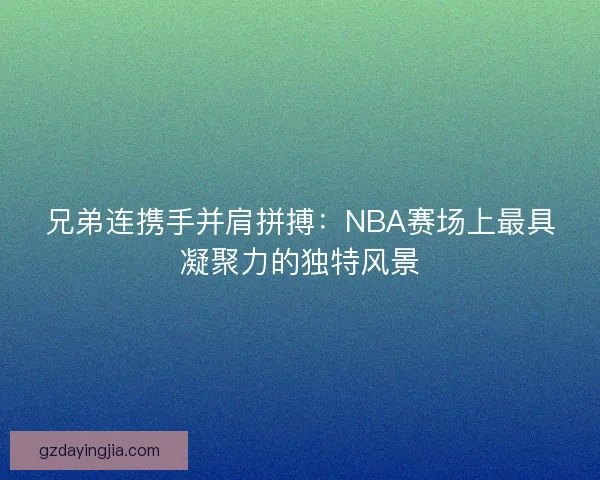 兄弟连携手并肩拼搏：NBA赛场上最具凝聚力的独特风景